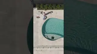Sip, Chill, Dive: Pool Cleaning Made Easy