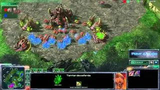 (HD053) Stracraft 2 Replay - CheckPrime (Z) vs NEXTGenius (P) - [FR]