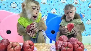 Handsome Sam boy enjoying plums