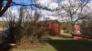 V&aring;rf&aring;glar