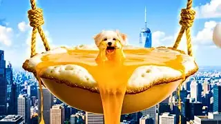 Pure Joy Moments | Cute Dog ASMR That Feels So Satisfying & Relaxing 🐶✨