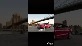 13 августа 2020 г.