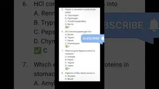 Digestive system 100 important MCQs(NEET ORIENTED)
