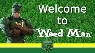 Explore Fastest Growing Franchise Weed Man | About Us