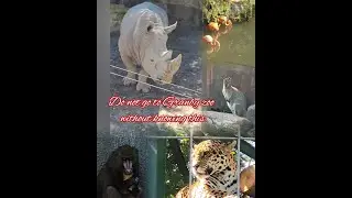 Granby Zoo - Amazoo - Montreal famous zoo