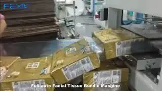 FEXIK Automatic Type Toilet Tissue Roll Packaging Machine