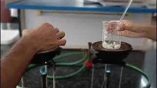 Preparation of shampoo