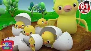 Five Little Birds + More Nursery Rhymes & Kids Songs - CoComelon