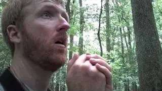 Congaree Wildlife Calling