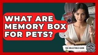 What Are Memory Box For Pets? - The Collectibles Guide