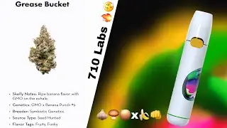 Grease Bucket #9 | 710 Labs live rosin disposable review!