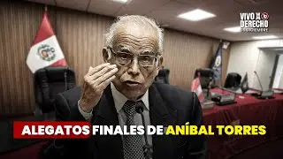 Pedro Castillo: alegatos finales de An&iacute;bal Torres