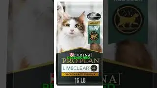 The 5 Best Canned Cat Foods of 2023 #bestcatfood #cannedfood #cats #2023