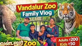 🐘 Real Jungle Feeling! | வண்டலூர் Zoo Family Vlog 🌿🔥 | Tamilnadu #tamilnadupride 