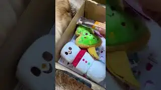 Golden Retriever Puppy, Ellie, got her very first BarkBox