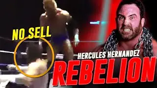 THE INCIDENT THAT KILLED HERCULES HERNANDEZ