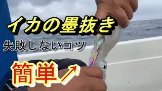 イカの墨抜き【解説】意外と簡単！！