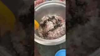 Aaj lunch mai hai Thaipo || Thaipo recipe