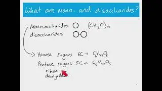 AS Biology - monosaccharides and disaccharides