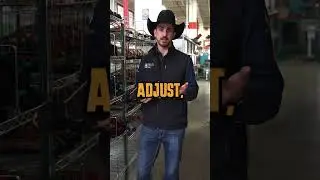 Which Bull Rope Should I Buy?