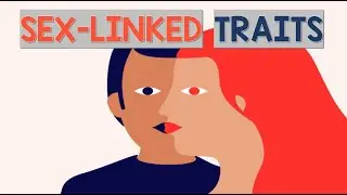 Sex Linked Traits | Biology Animation