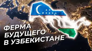 Самое быстрорастущее дерево в мире. Бизнес на Павловнии! #бизнес #инвестиции #rwa
