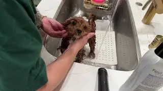 Kali’s first bath by mommy 🫧🛁🧼