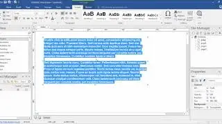 Text and WYSIWYG Web Builder