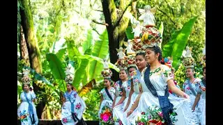 GRUPO FOLKLÓRICO P'URHÉPECHA 