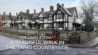 A Beautiful walk in the Tring countryside on a cold and frosty December morning