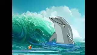 DOLPHIN SPLASH, ASMR