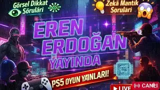 göreselde bulunmayan kedi