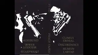 Climax Denial/Discordance/Human Larvae/Moribund/Sewer Goddess/Sharpwaist - S/T [Full Album]