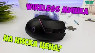 Trust GXT 161 Disan Ревю Бюджетна и функционална геймърска безжична мишка | Review