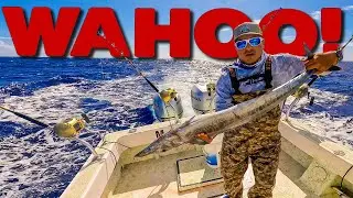 WAHOO - Поймать - Очистить - Сашими