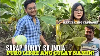 SARAP BUHAY SA INDIA? PURO LIBRE ANG GULAY NAMIN