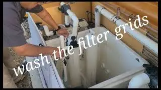 How to clean pool collector tank D.E. filter