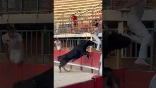 💥 Ka&iuml;s Oufkir avec Orion de Aubanel 💥