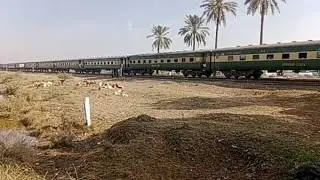 A scenic train of Rohri Pakistan#train