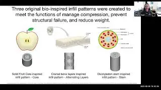 Biocene 2022 - Nature inspired Infill patterns for additive manufacturing - Nagel, James Madison Unv