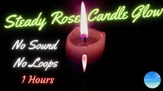 🕯️ Steady Rose Candle Glow | No Sound | No Loops | Candle Reflection in Water 🌹for 1 Hour 🕰️