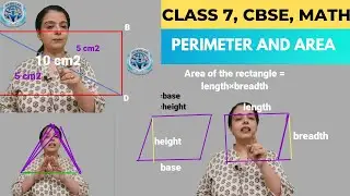 Chapter 11: Perimeters and Area | Solved exercises with explanation | Learn at Scholar
