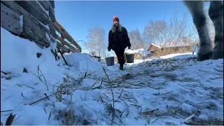 Жизнь в селе 🏠. Новогодняя сельская ёлка. Каждодневная управа. Украсили дом к новому году 🎄 🎁 
