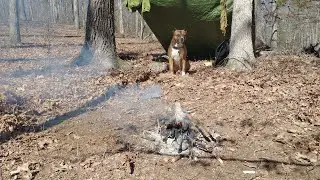 Campfire cooking: Civil War ramrod bread.