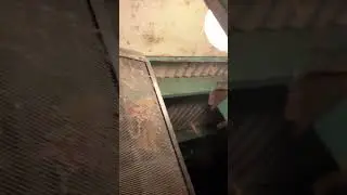 ATTACK of the CRANE FLIES!!! (pt.1)