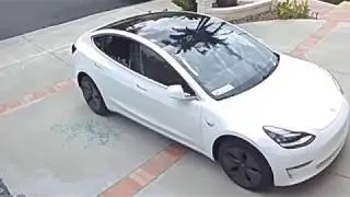 Owner Says Tesla Model 3 Window Shattered By Itself, Accused Of FUD