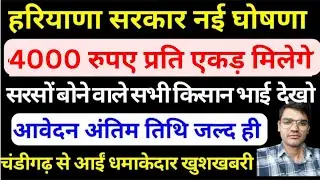 4000₹ प्रति एकड़ मिलेंगे सरसों बोने पर, सरसों बीज पर 4000₹ प्रति एकड़ मिलेंगी सब्सिडी,हरियाणा #mfmb