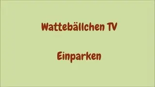 Alltagstrick Einparken -  Hund in &ouml;ffentlichen Verkehrsmitteln platzieren