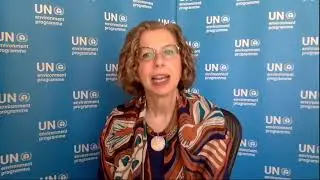 OTFF 2021: Strengthening international support for indigenous solutions (English)