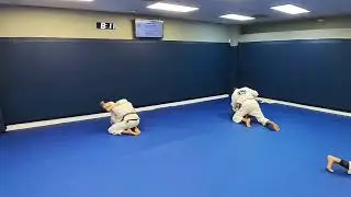 Mixed Rolling: Purple v Brown belt, Combatives v Blue belt. Gracie Jiu Jitsu Sparring